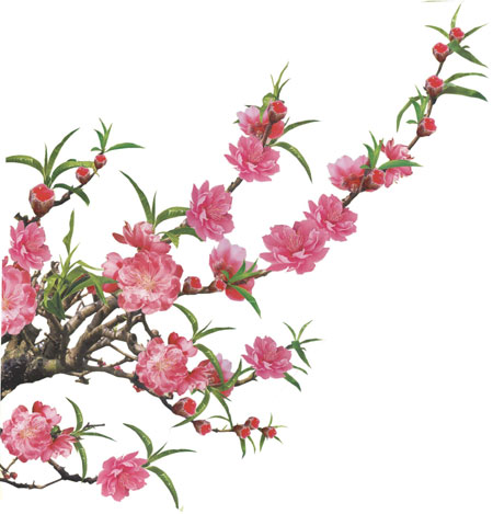 Thng bo trn trang chủ